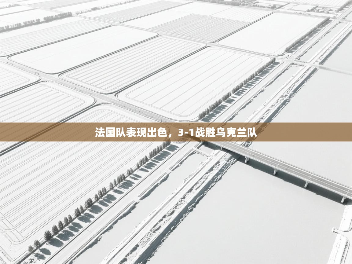 开云体育注册-法国队表现出色，3-1战胜乌克兰队  第1张