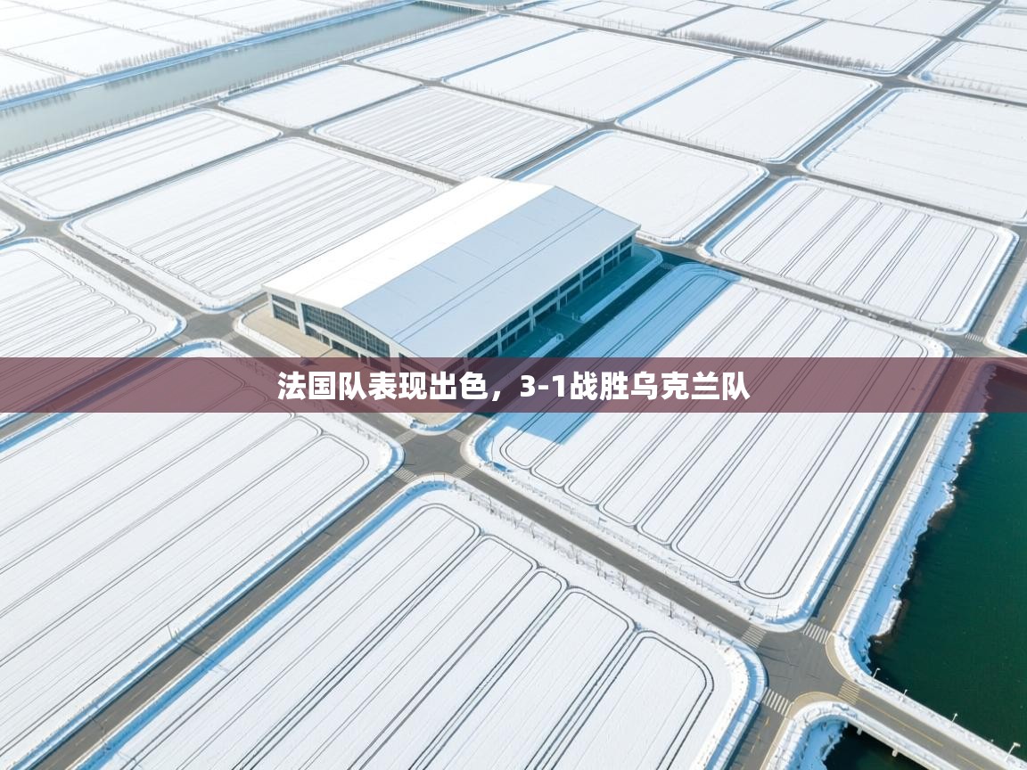 开云体育注册-法国队表现出色，3-1战胜乌克兰队  第3张