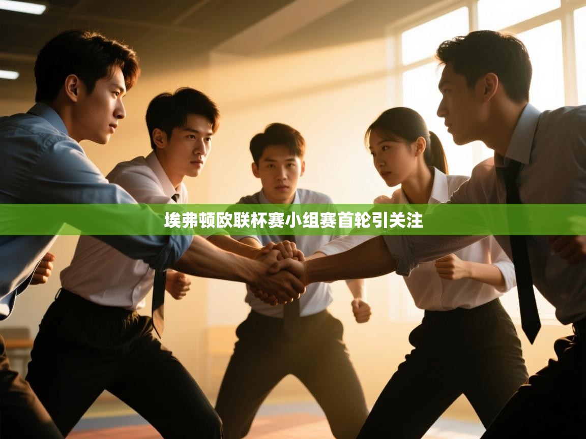 开云体育app投诉-埃弗顿欧联杯赛小组赛首轮引关注  第1张