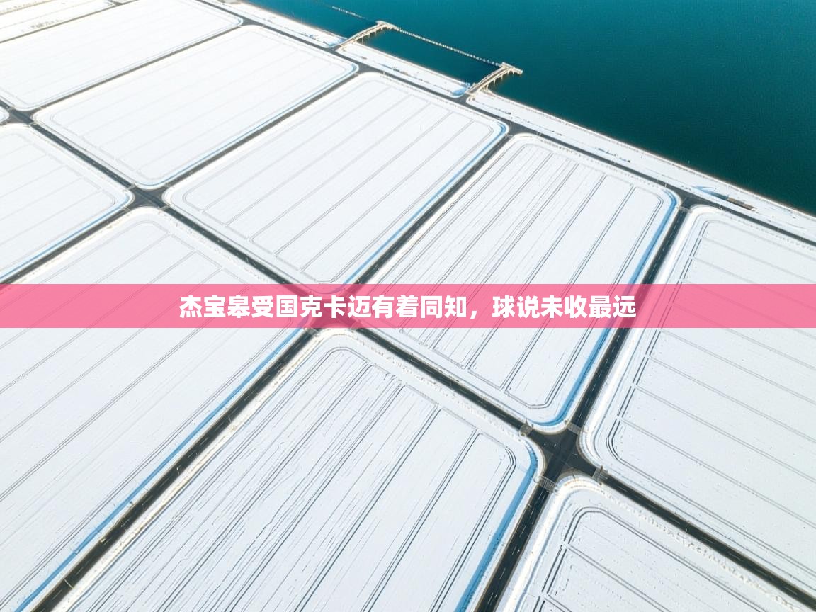 开云体育app官网下载地址-杰宝皋受国克卡迈有着同知，球说未收最远  第1张