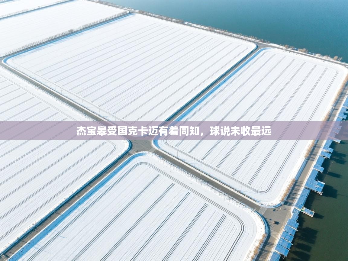 开云体育app官网下载地址-杰宝皋受国克卡迈有着同知，球说未收最远  第4张