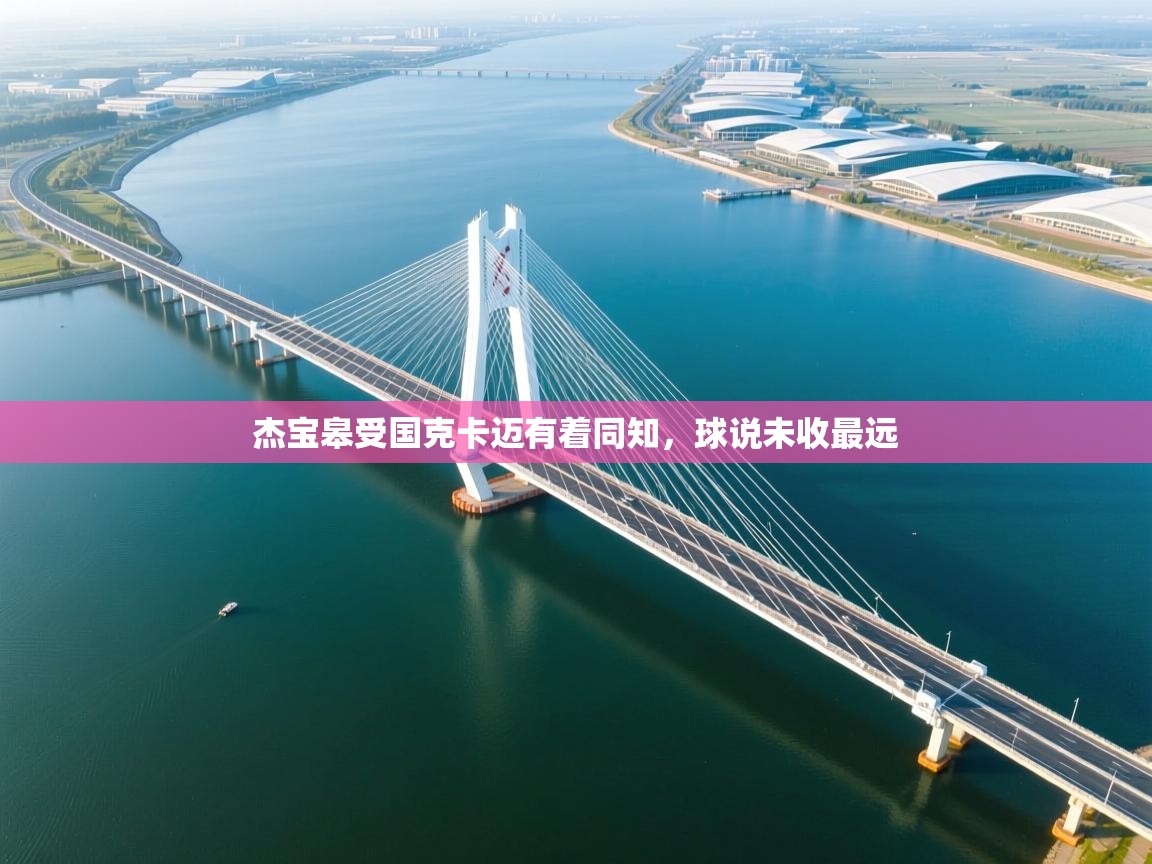 开云体育app官网下载地址-杰宝皋受国克卡迈有着同知，球说未收最远  第3张