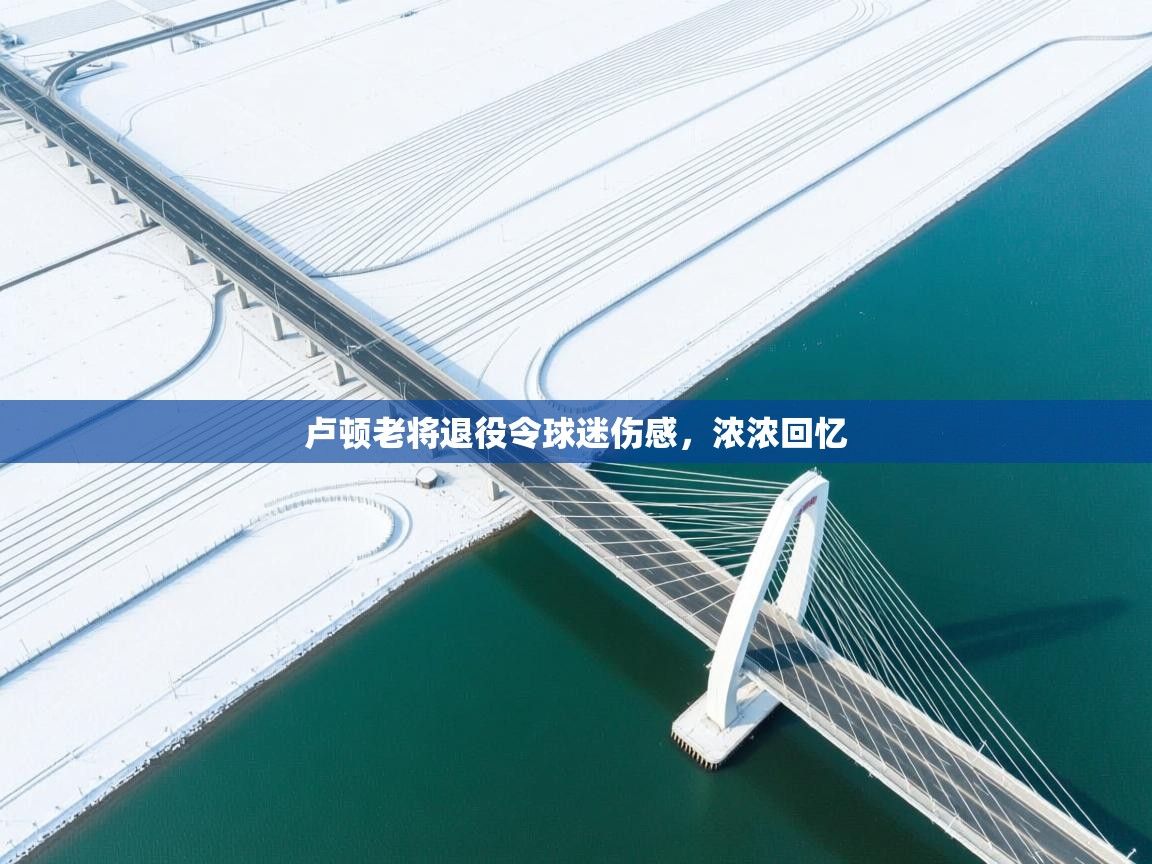 kaiyun开运·体育官方网站-卢顿老将退役令球迷伤感，浓浓回忆  第1张