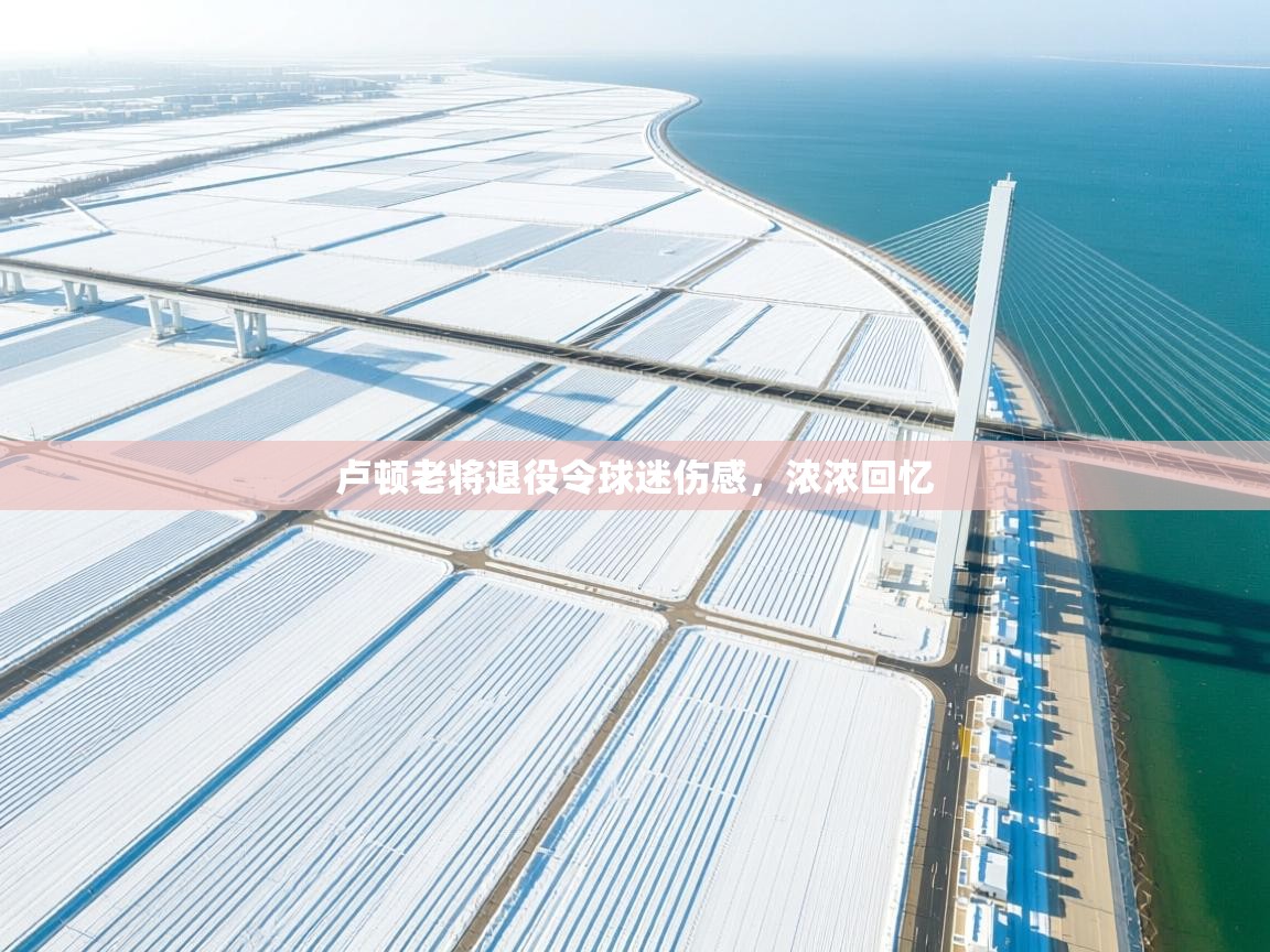 kaiyun开运·体育官方网站-卢顿老将退役令球迷伤感，浓浓回忆  第3张