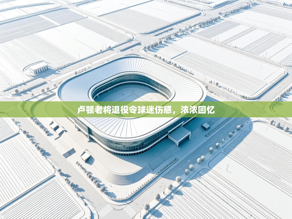 kaiyun开运·体育官方网站-卢顿老将退役令球迷伤感，浓浓回忆  第4张