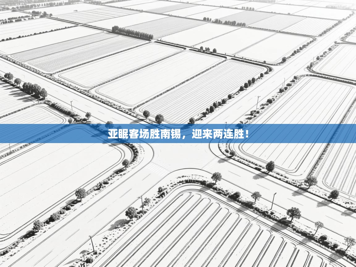 云开体育官方app下载-亚眠客场胜南锡，迎来两连胜！  第2张